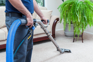 Carpet Cleaning in Coorparoo
