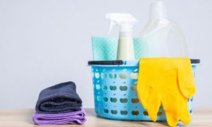 Exit Cleaning Ashgrove