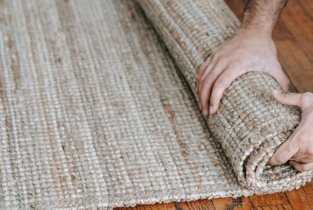 Choosing the Right Carpet Cleaning Services in Brisbane: Factors to Consider