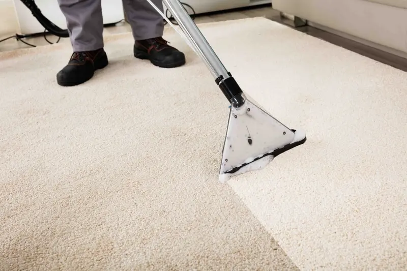How does a carpet look after a deep cleaning, and what results can you expect?