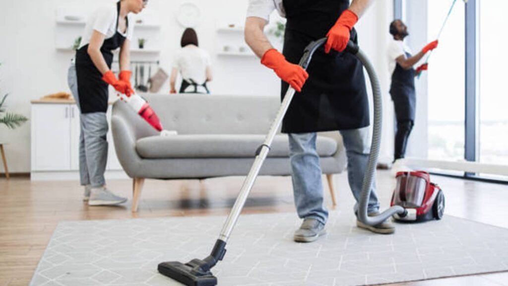 How does a professional cleaner handle carpet cleaning?